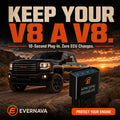 Evernava™ AFM/DFM Disabler